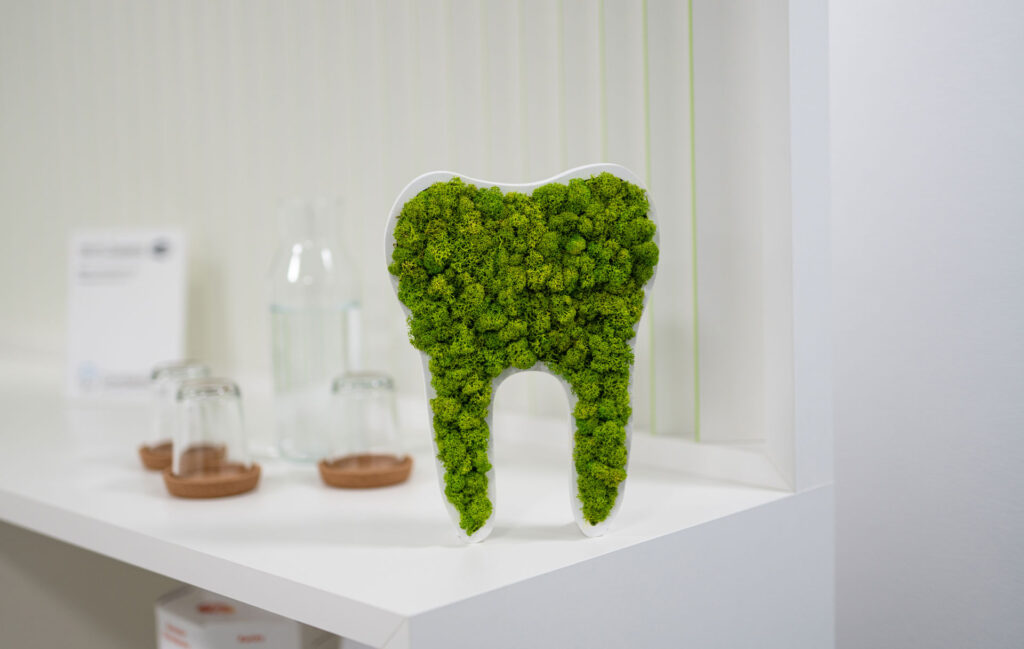 Ein Zahn aus Moos als Dekoration im Wartezimmer