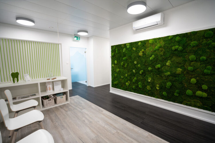 Ein helles offenes Wartezimmer mit einer Wand von StyleGreen, Mooswand